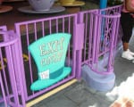 tea-cups1-big